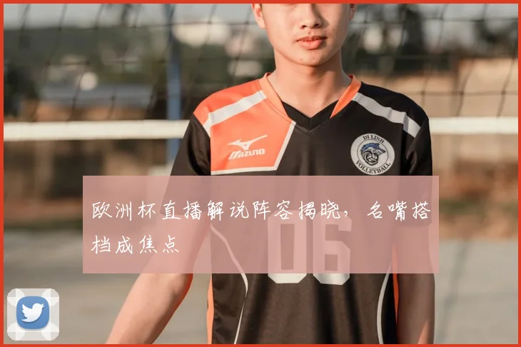 欧洲杯直播解说阵容揭晓,名嘴搭档成焦点