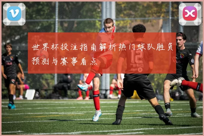 世界杯投注指南解析热门球队胜负预测与赛事看点